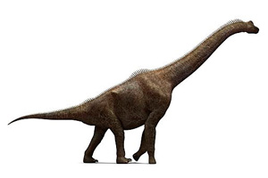 Dinosaur 1