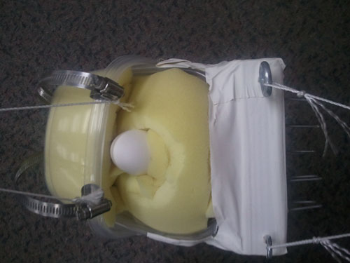 Egg Carrier